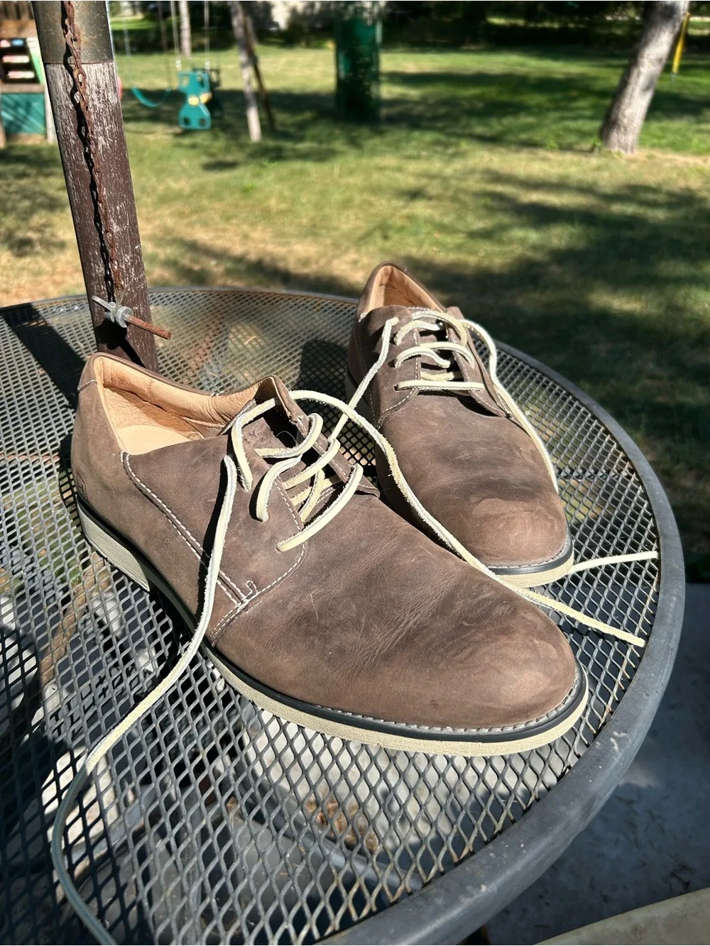 Sperry Men's Dark Brown Leather Derby with Contrast Laces